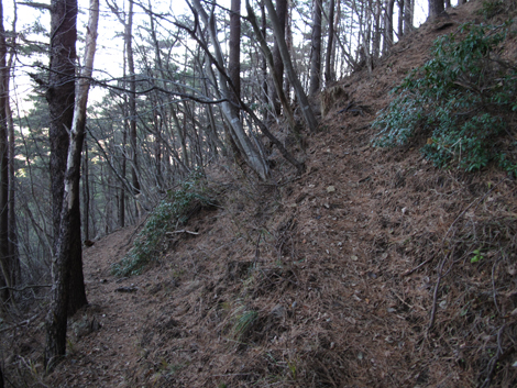 20181214hike (42)